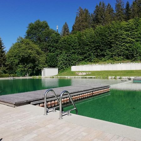 Insider Appartement Schoenwald im Schwarzwald Exterior photo
